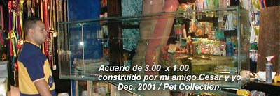 Acuario de 3 metros construido por Cesar y yo, Pet Collection - Dec 2001.