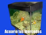 Acuario Eclipse II