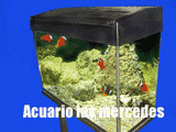 Acuario eclipse III