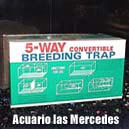 5 way - breeding - Maternidad para peces viviparos con 5 formas distintas de ensamblaje