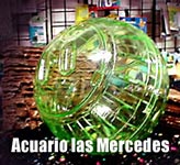 Globos para Hámsters tamaño pequeño