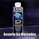 Rx P - tratamiento para parasitos marinos formulado por Kent Marine.