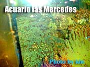 Rocas Vivas 005